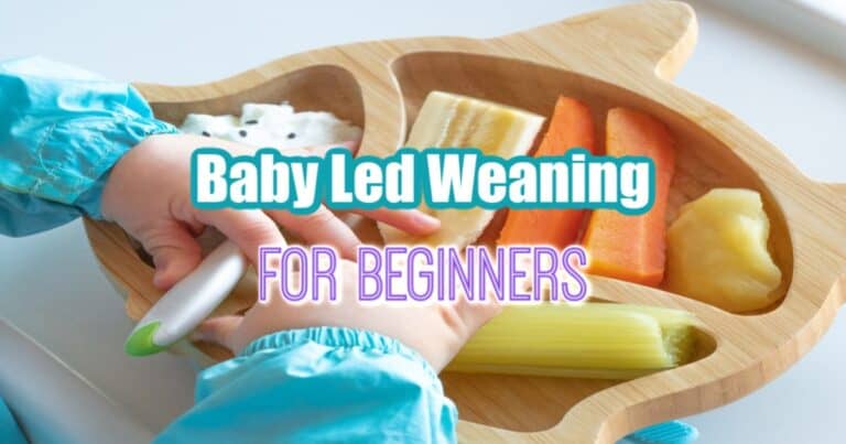 All About Baby Led Weaning For Beginners – Mom After Baby