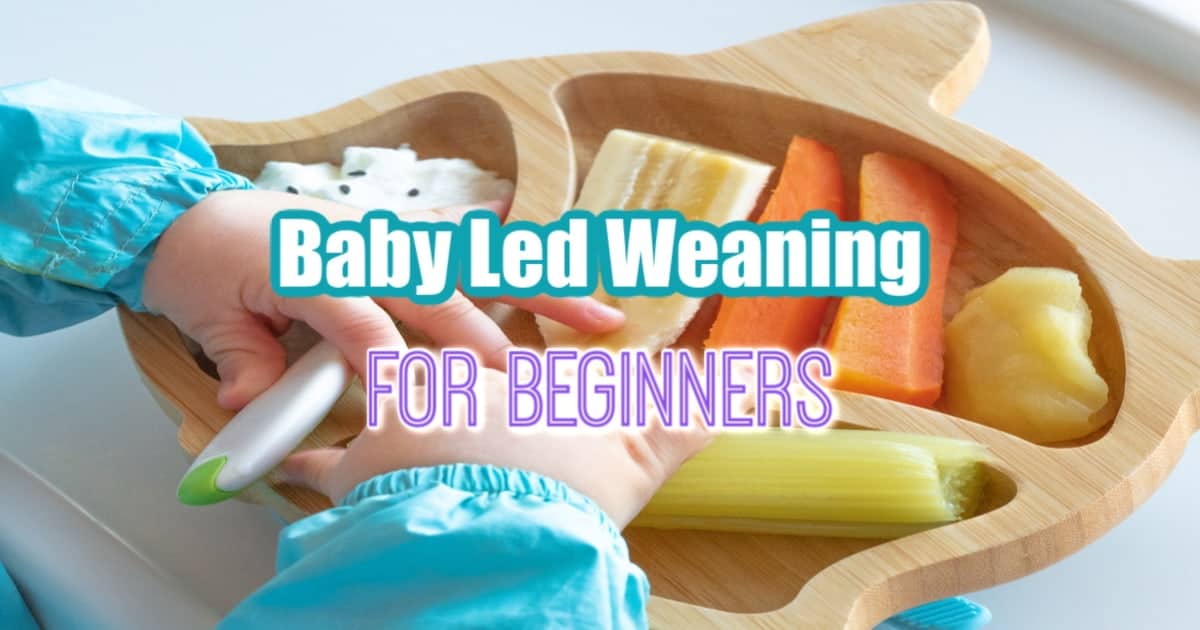 baby led weaning for beginners