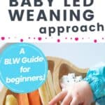 baby led weaning solids