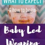 What to expect the first week of Baby Led Weaning