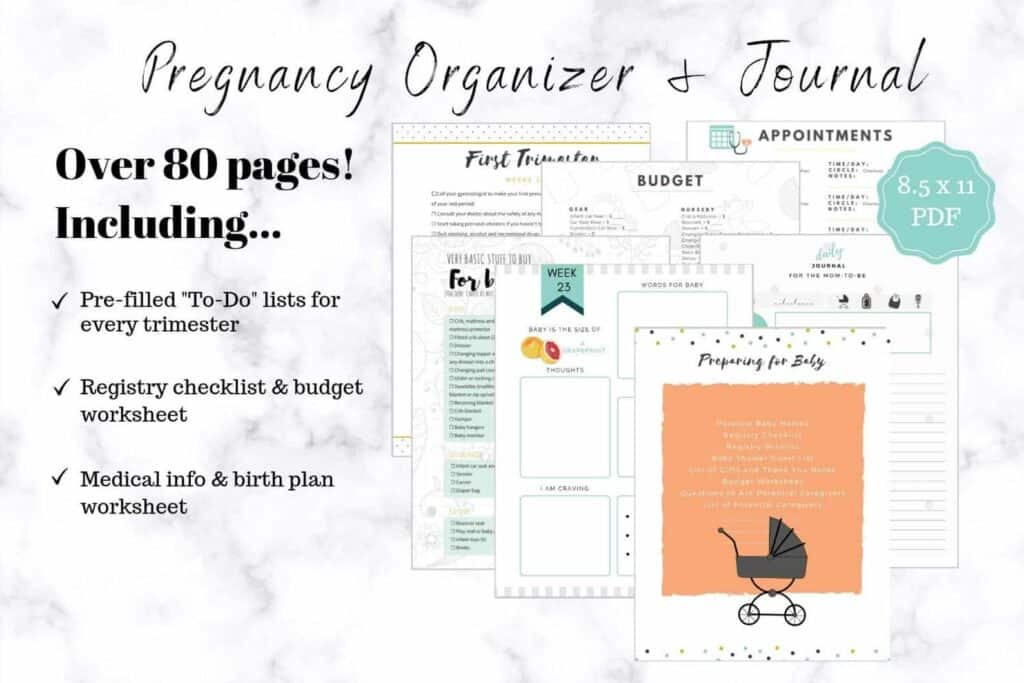 pregnancy organizer, journal and planner