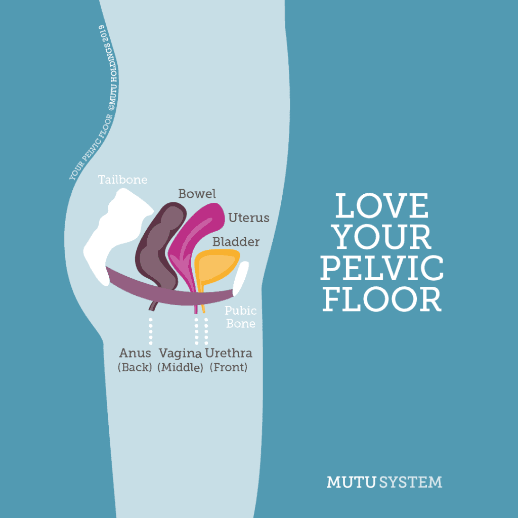 Mutu System Pelvic Floor