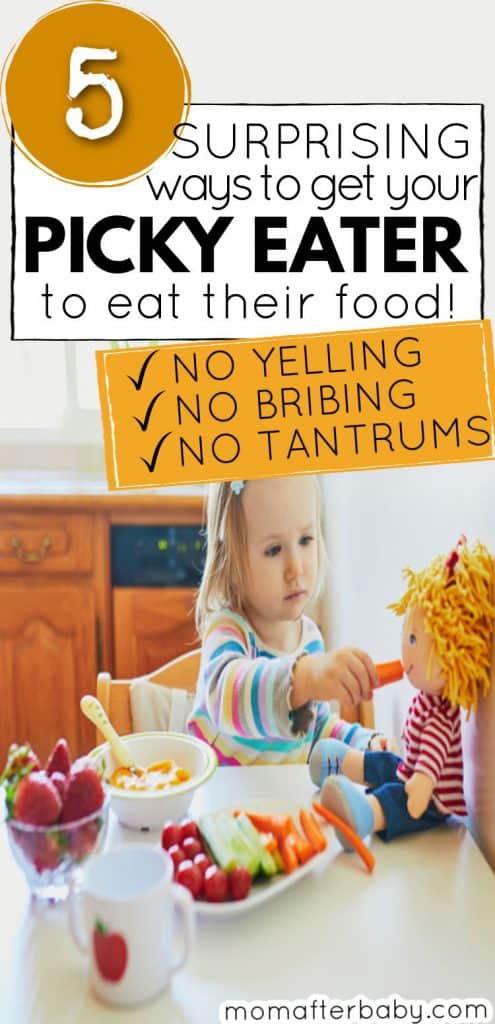 Picky Eating Toddler Tips - End Mealtime Meltdowns