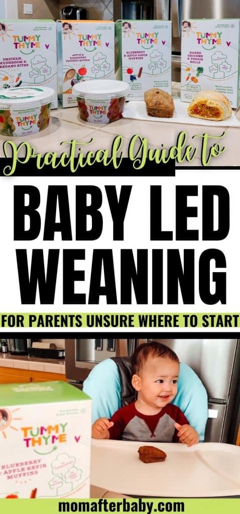 All About Baby Led Weaning For Beginners – Mom After Baby