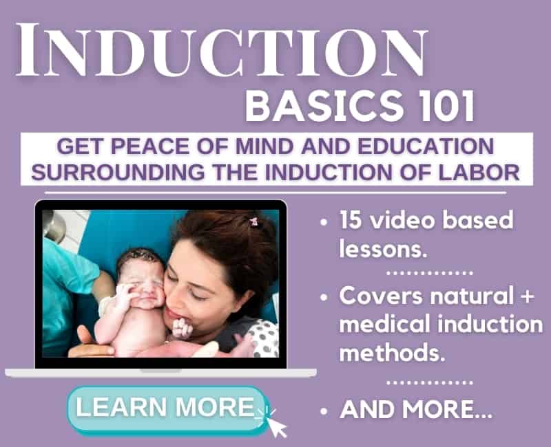 induction basics 101 online course