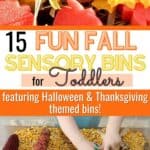 15 Fun Fall Sensory Bins for Toddlers