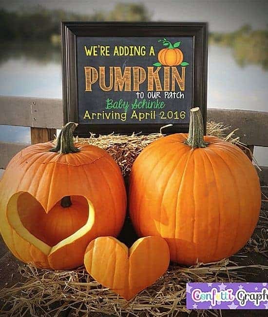 pumpkin pregnancy