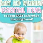 Baby Led Weaning Essential MUST HAVES