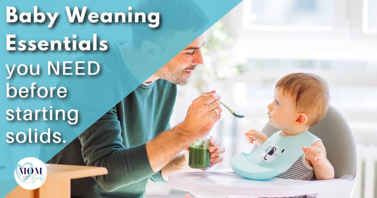 Baby Led Weaning Essentials You NEED Before Introducing Solids
