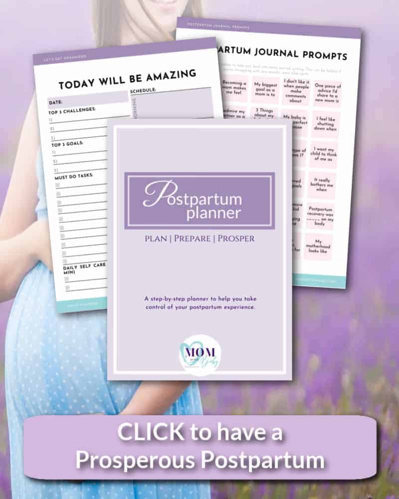 postpartum planner