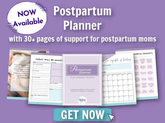 postpartum planner now available