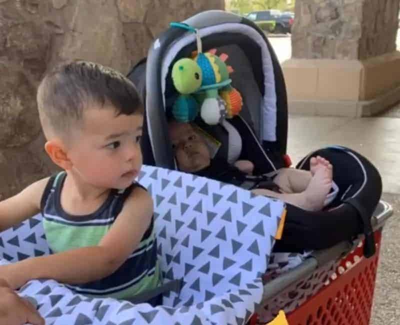 image shows my children, sitting inside of a red Target shopping cart. One toddler is in the front seat using a shopping cart cover while the other is an infant in his car seat with the shopping cart hammock.