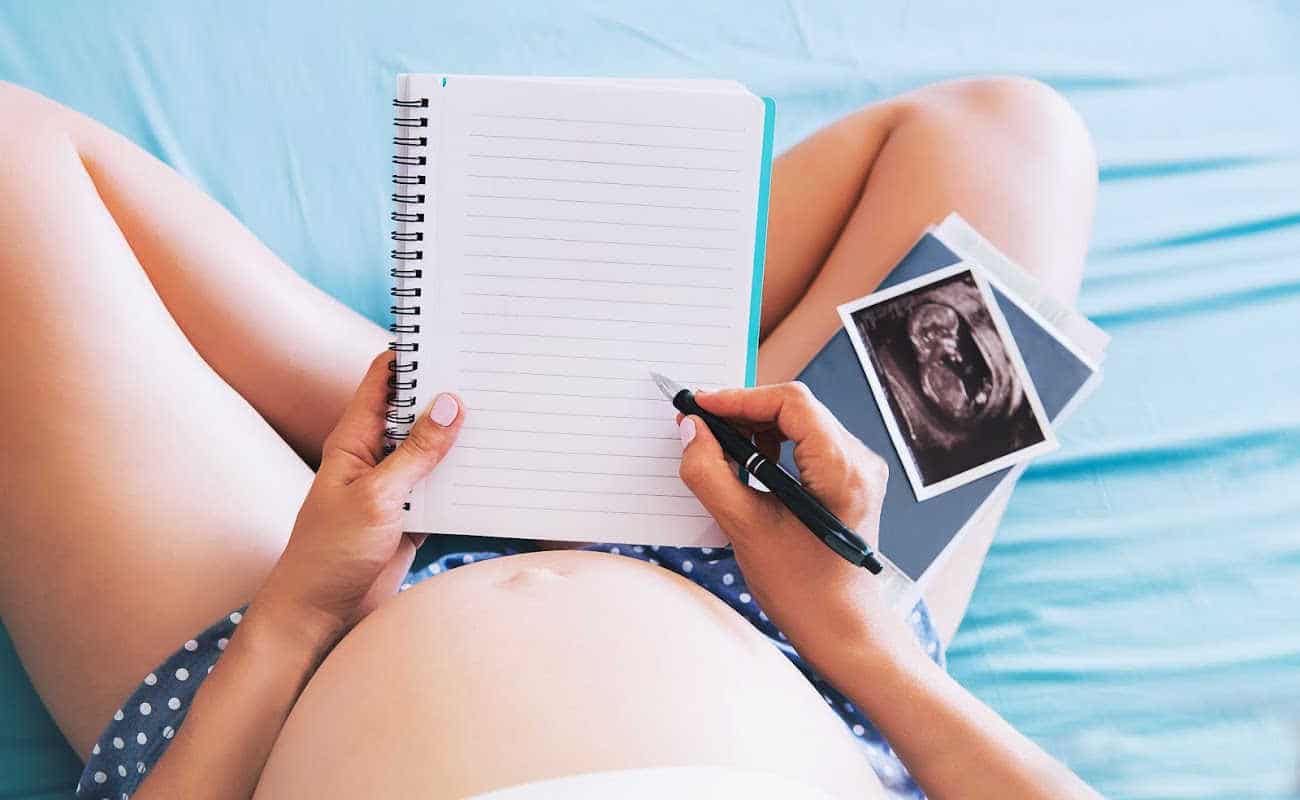 pregnant planners and journals