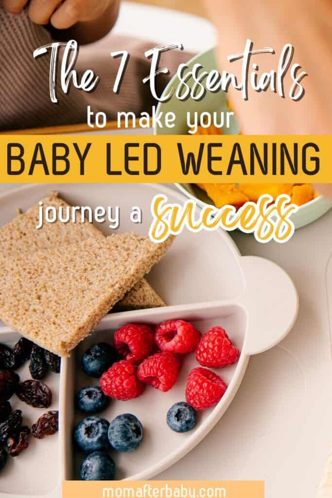 Starting Solids? These BLW Essentials Make It SO Much Easier!
