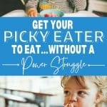 Entice Your Picky Eating Toddler to Enjoy Mealtime WITHOUT a Fight