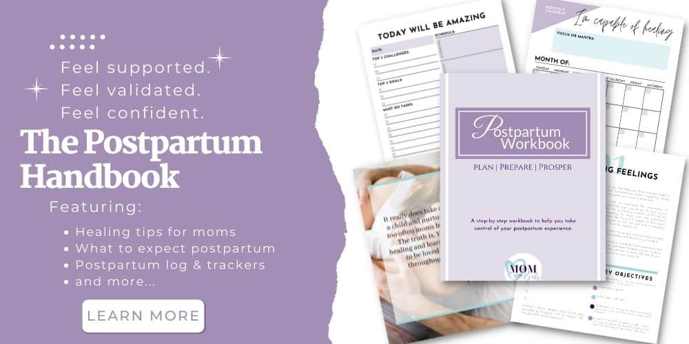 The postpartum handbook by Mom After Baby