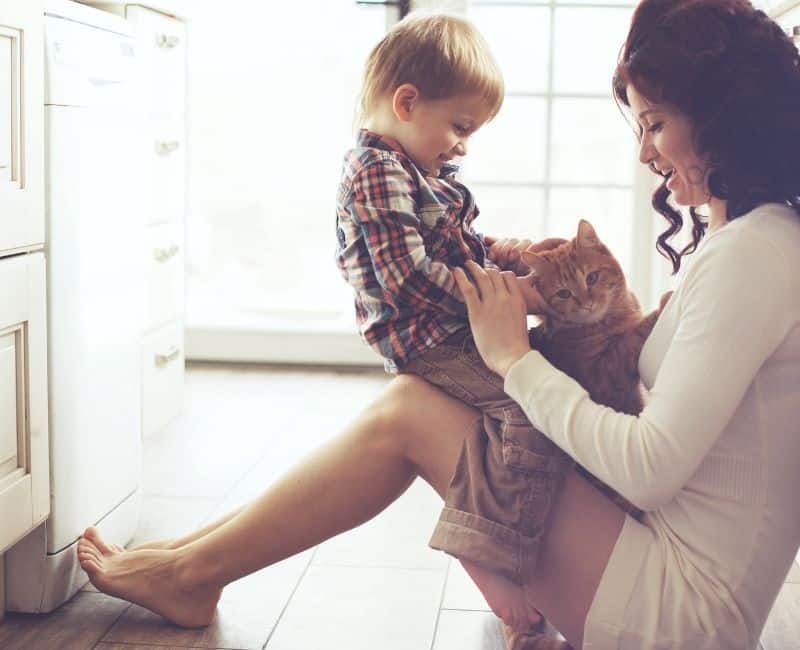 woman (mom?) sitting on floor holding child on lap and looking at cat