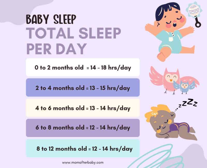 Digital graphic in shades of purple that display total amount of sleep per day baby needs in a list designs. Image also shows clipart of sleeping babies and baby accessories.