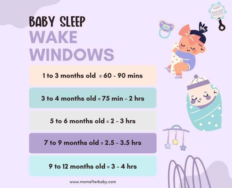 Digital graphic in shades of purple that displays baby sleep wake windows in a list designs. Image also shows clipart of sleeping babies and baby accessories.