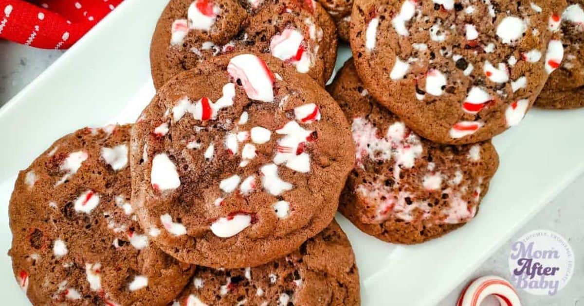 Cover image for the double chocolate peppermint cookie recipes. shows a close up of the stacked chocolate peppermint cookies on a while plate