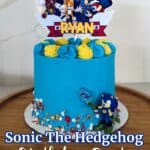 Epic Sonic The Hedgehog Birthday Party Ideas for Kids