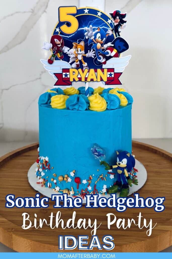 Epic Sonic The Hedgehog Birthday Party Ideas for Kids