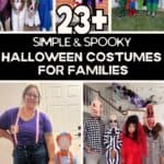 23+ Creative & Budget-Friendly Family Halloween Costumes