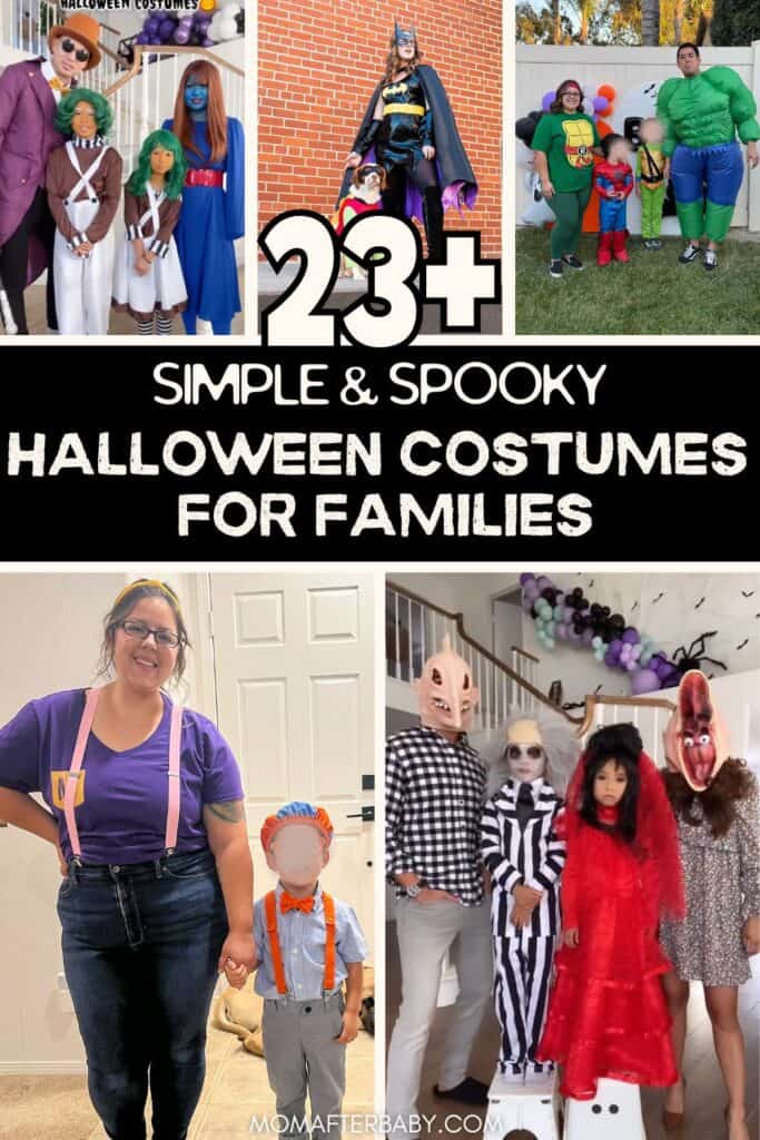 23+ Creative & Budget-Friendly Family Halloween Costumes