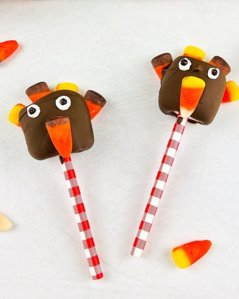 marshmallows covered in chocolate and decorated to look like a turkey