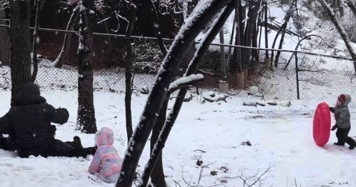 Image of family playing in the snow in Big Bear, CA